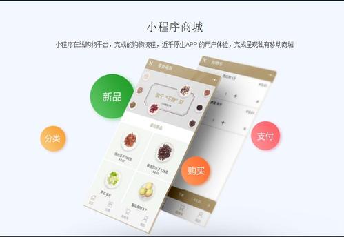 微信商城小程序上線后，如何運用技術(shù)手段高效推廣產(chǎn)品